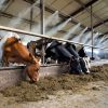 Mist System for Dairy Farm, Poultry Farm, Restaurant or Home Mist Humidity Control System, Bird Misting System Single Pump Steel Nozzle in Pakistan - Image 3