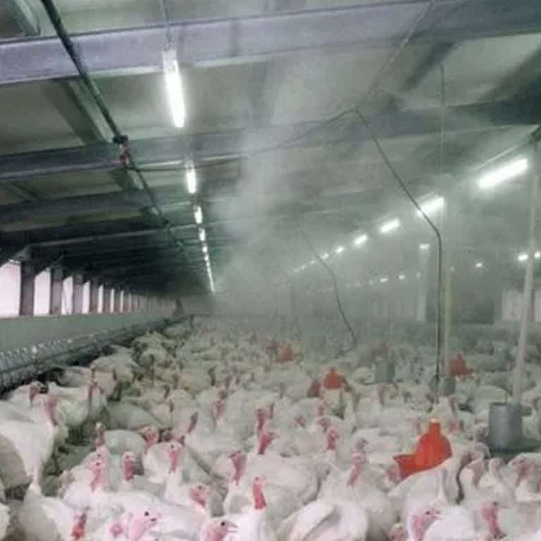 Mist System for Dairy Farm, Poultry Farm, Restaurant or Home Mist