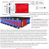 DALY 20S 60V 30A BMS with Bluetooth & NTC Sensor for LifePO4 Battery Pack